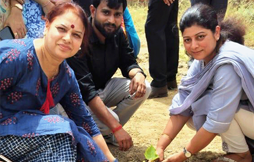 Tree Plantation Drive World Enviroment Day at JIMS Rohini